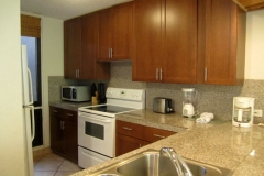 Upgraded Kitchen - New cabinets, Granite counter tops, new appliances