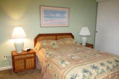 Master Bedroom - queen size bed - new carpeting