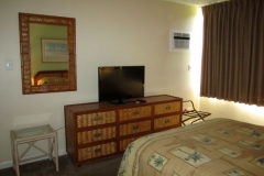 Master Bedroom - queen size bed - new carpeting