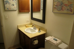 Upgraded Guest bathroom