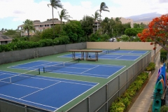 Four tennis courts