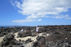 Lava field in south Maui